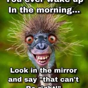 Meet your Posher, Jimmy